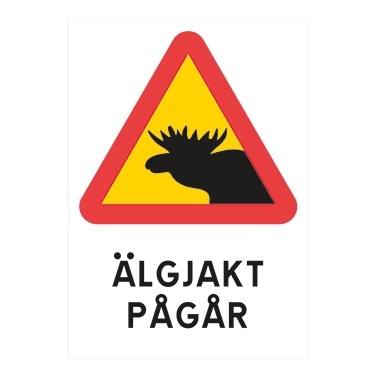 Älgjakt pågår älg