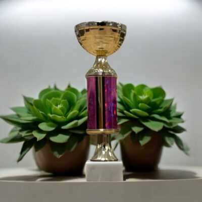Pokal-Guld-med-rosa-glitter-230mm