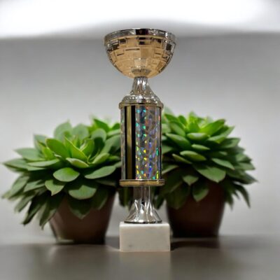 Pokal-Silver-med-silver-glitter-230mm